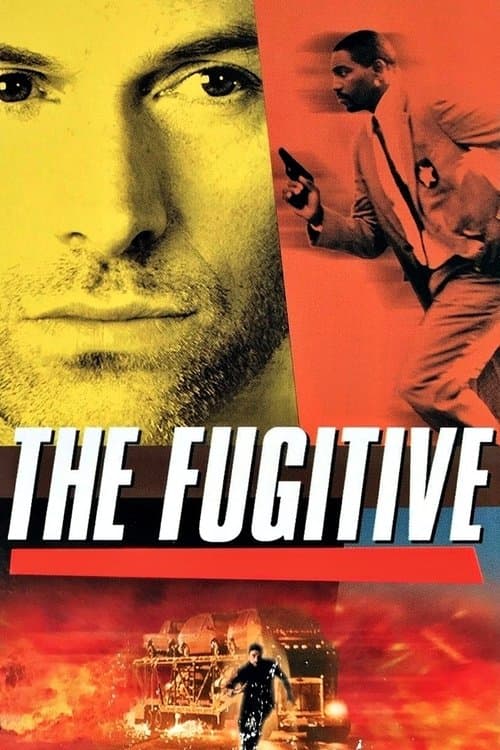 The Fugitive Season 1 poster