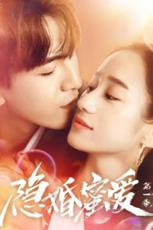 隐婚蜜爱 Season 1 poster