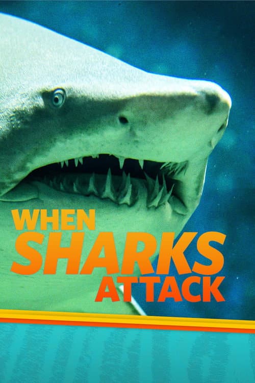 When Sharks Attack Season 3 poster