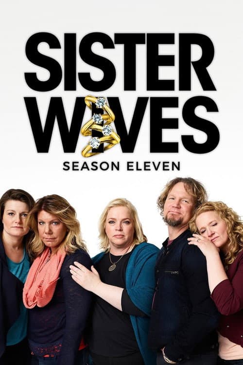 Sister Wives Season 8 poster