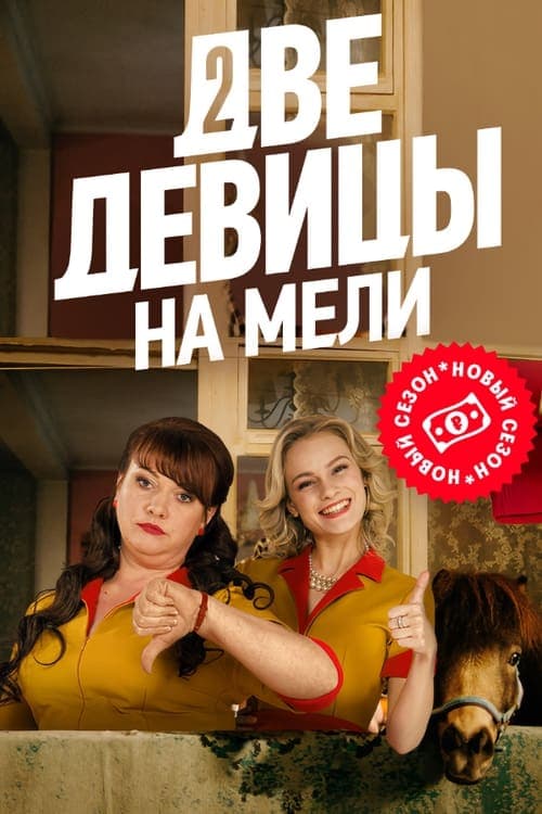 Two Broke Girls Season 2 poster