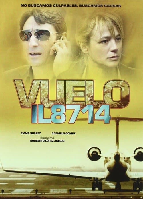 Flight 8714: Take Off to Disaster Miniseries poster