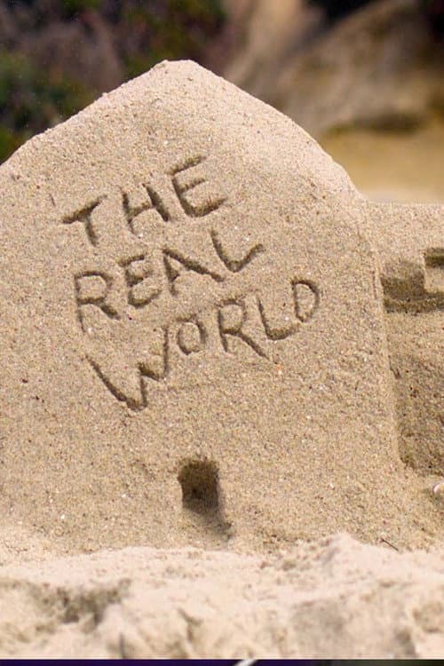 The Real World San Diego poster