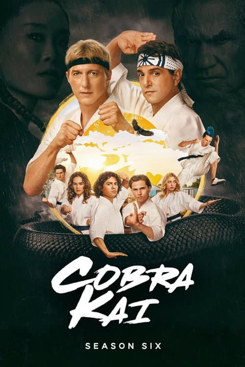 Cobra Kai Season 6 poster