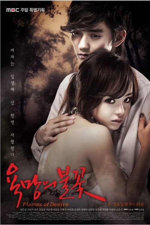 Flames of Desire Season 1 poster