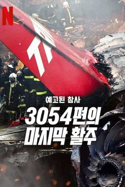A Tragedy Foretold: Flight 3054 Miniseries poster