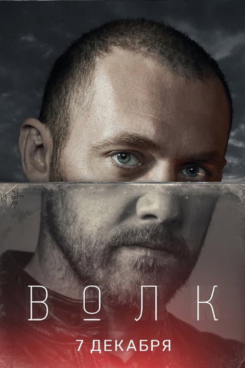 Wolf Season 1 poster