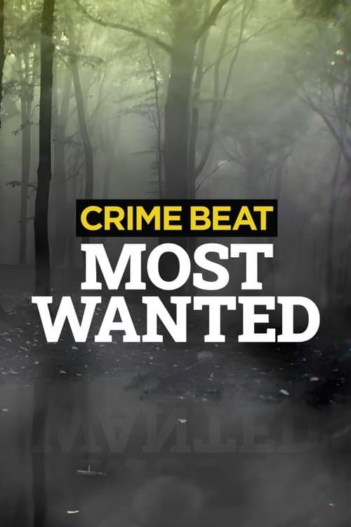 Crime Beat: Most Wanted Season 2 poster