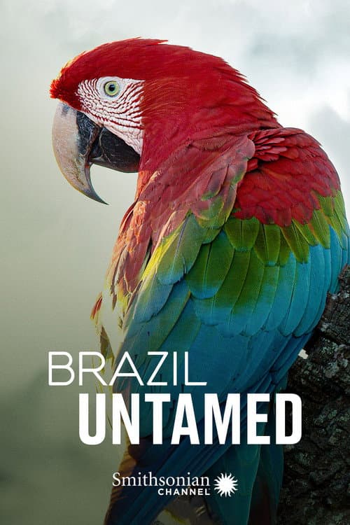 Brazil Untamed Pantanal poster