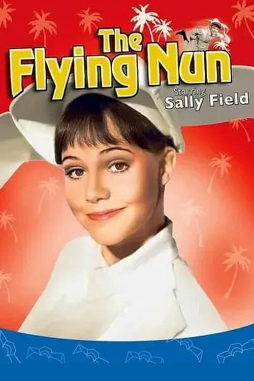 The Flying Nun Season 3 poster