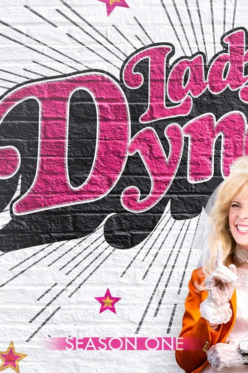 Lady Dynamite Season 1 poster