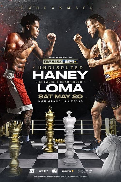 Blood, Sweat & Tears: Haney vs. Lomachenko Season 1 poster