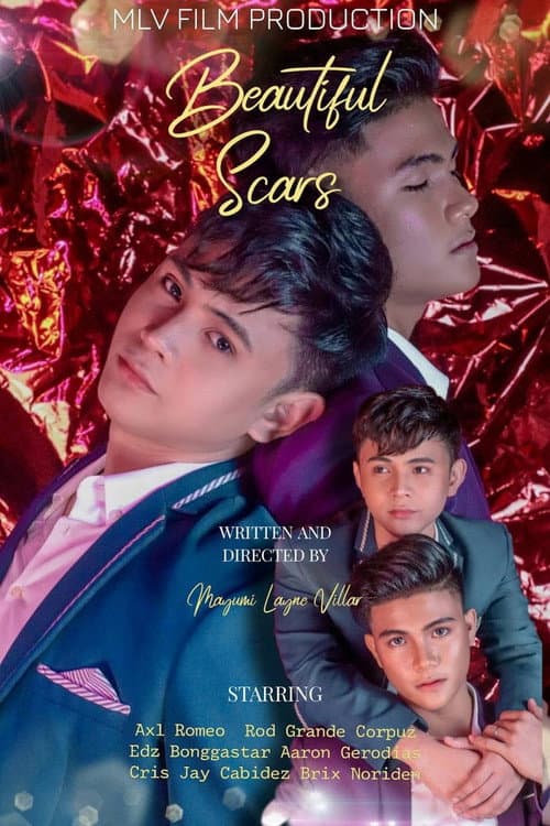 Beautiful Scars Season 1 poster