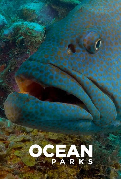 Ocean Parks Season 1 poster