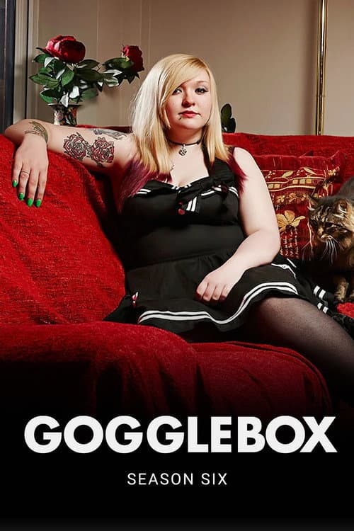 Gogglebox Series 6 poster