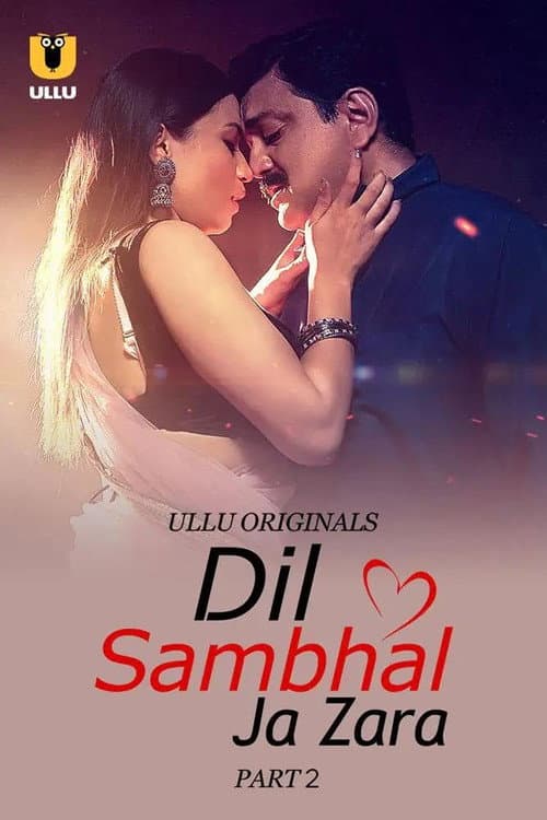 Dil Sambhal Ja Zara Season 1 poster