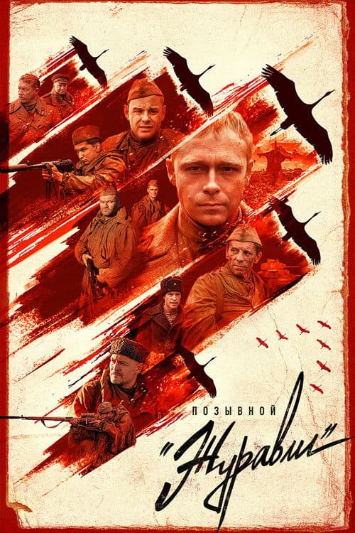 Call Sign «Cranes» Season 1 poster