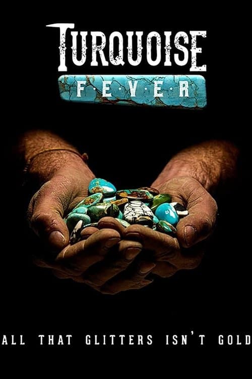 Turquoise Fever Season 1 poster