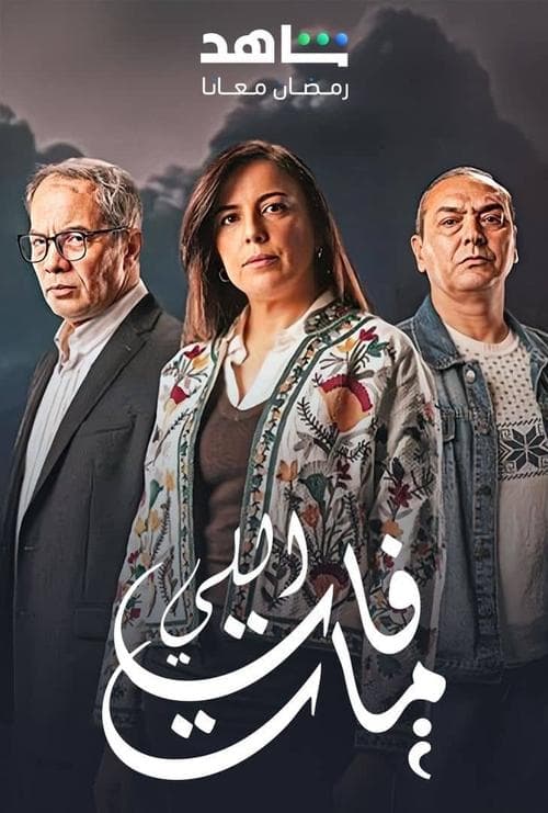 Elli Fat Mat Season 1 poster