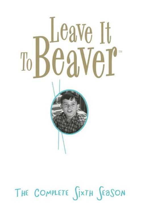 Leave It to Beaver Season 6 poster