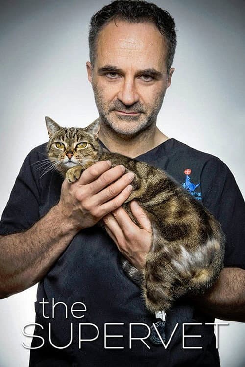 The Supervet: Noel Fitzpatrick Season 1 poster