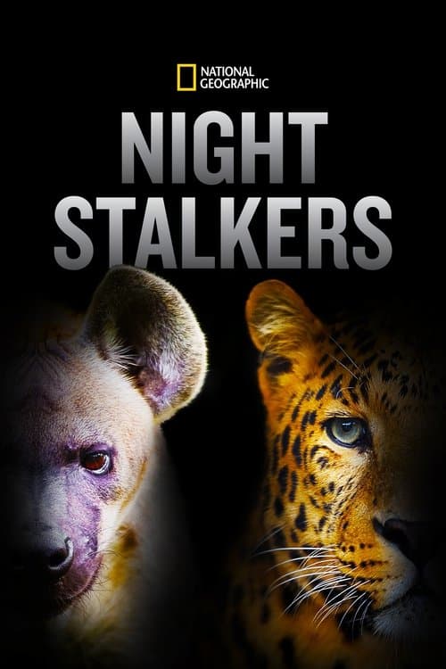 Night Stalkers Season 1 poster