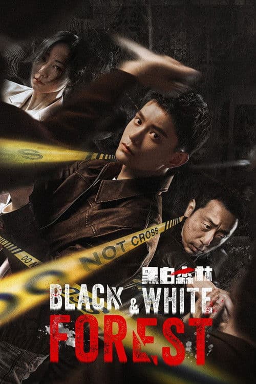 Black & White Forest Season 1 poster