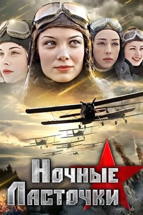Night Swallows Season 1 poster