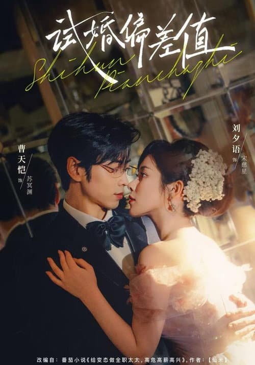 试婚偏差值 Season 1 poster