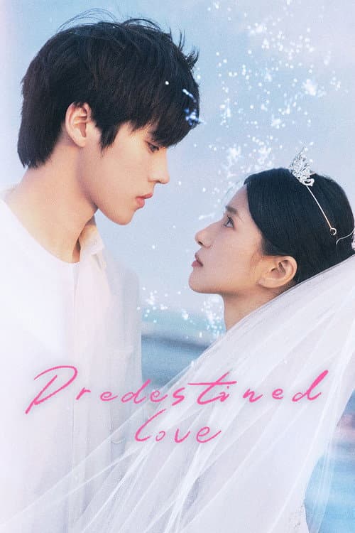 Predestined Love Season 1 poster