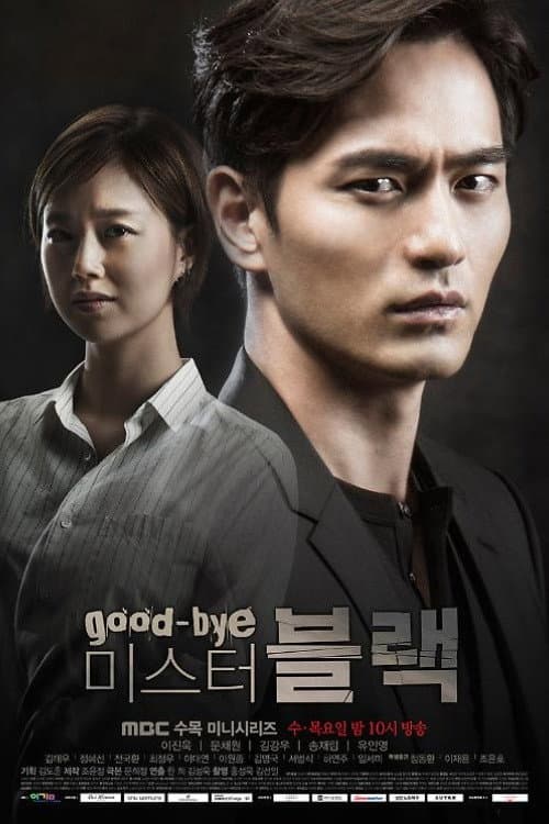 Goodbye Mr. Black Season 1 poster