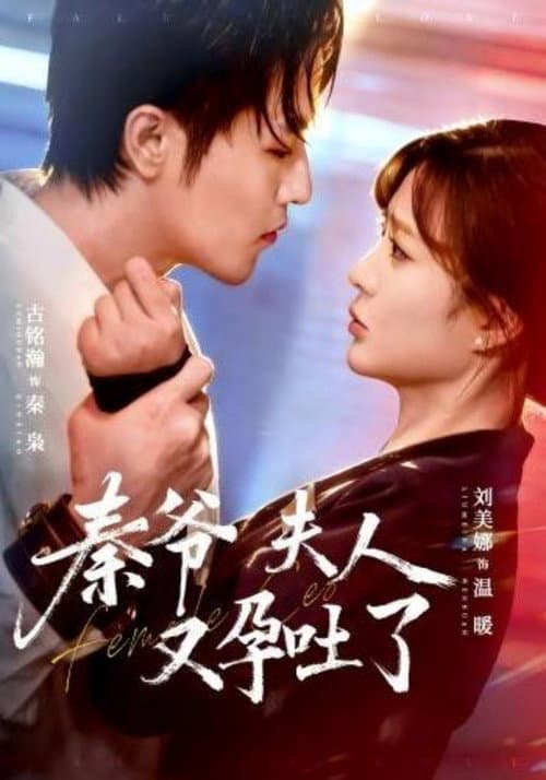 秦爷夫人又孕吐了 Season 1 poster