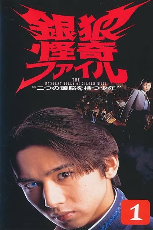 The Mystery Files of Silver Wolf Season 1 poster