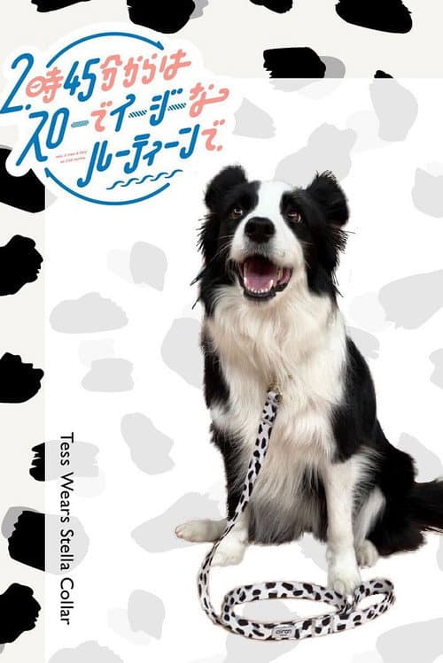 スローでイージーなルーティーンで Season 1 poster