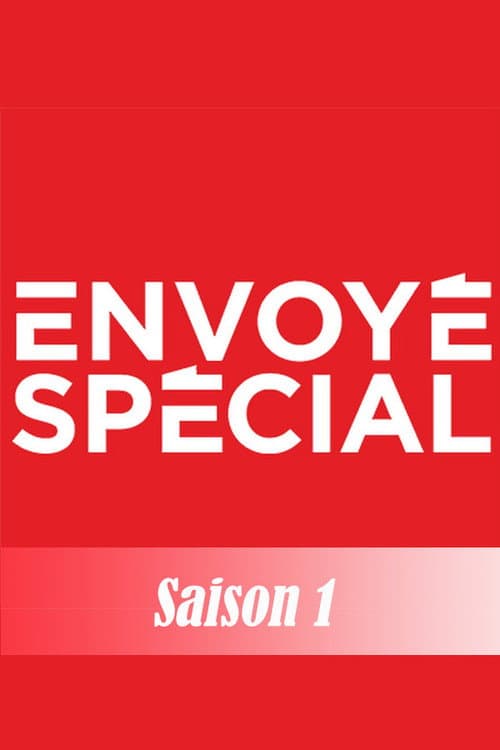 Envoyé Spécial Season 1990 poster