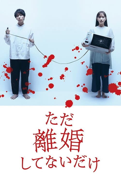 We Are Just Not Divorced Season 1 poster