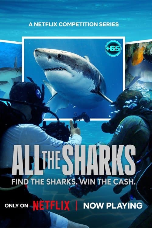 All the Sharks Season 1 poster