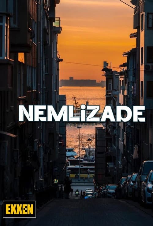 Nemlizade Season 6 poster