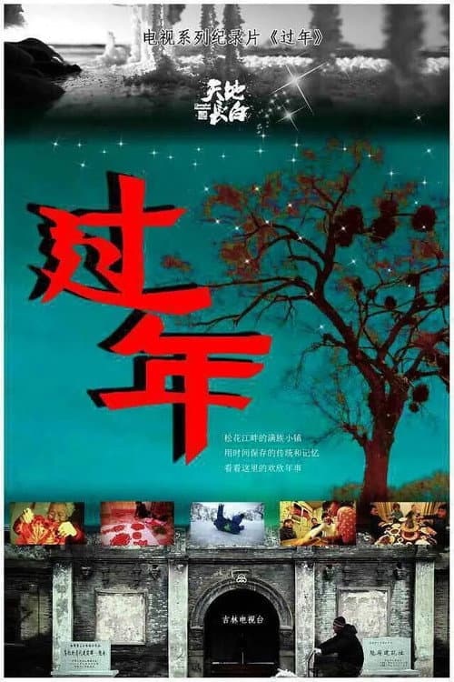 过年 Season 4 poster