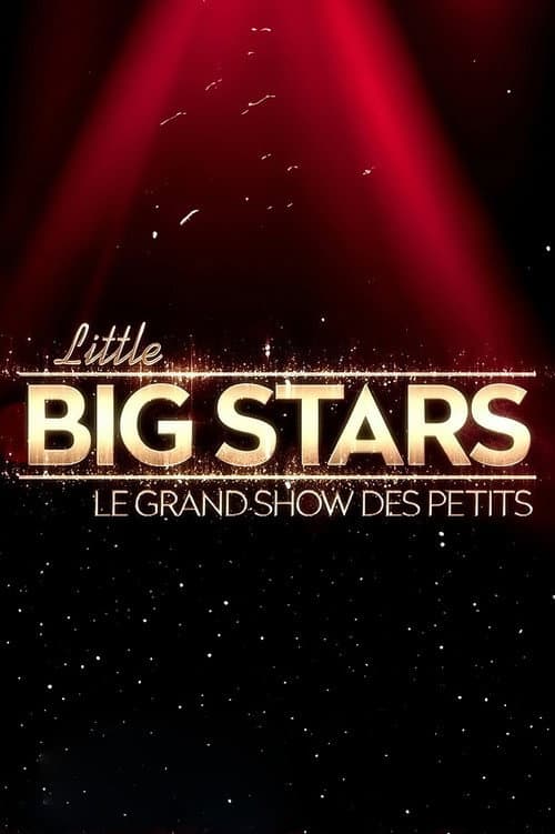 Little Big Stars FR Season 1 poster