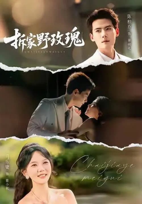 拆家野玫瑰 Season 1 poster