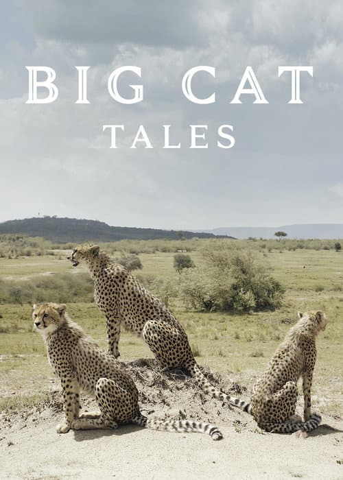 Big Cat Tales Season 1 poster