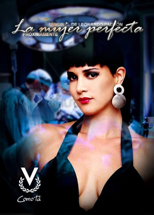 La mujer perfecta Season one poster