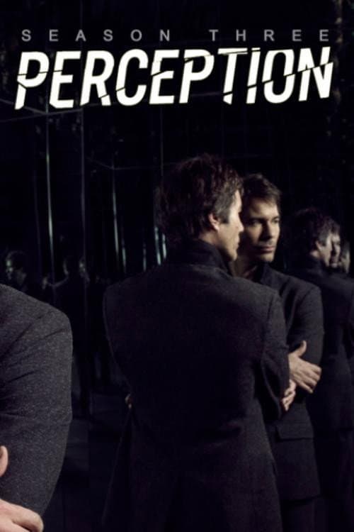 Perception Season 3 poster