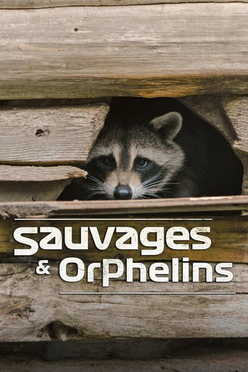 Sauvages et orphelins Season 1 poster