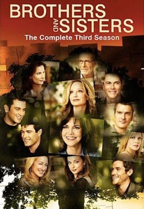 Brothers and Sisters Season 3 poster