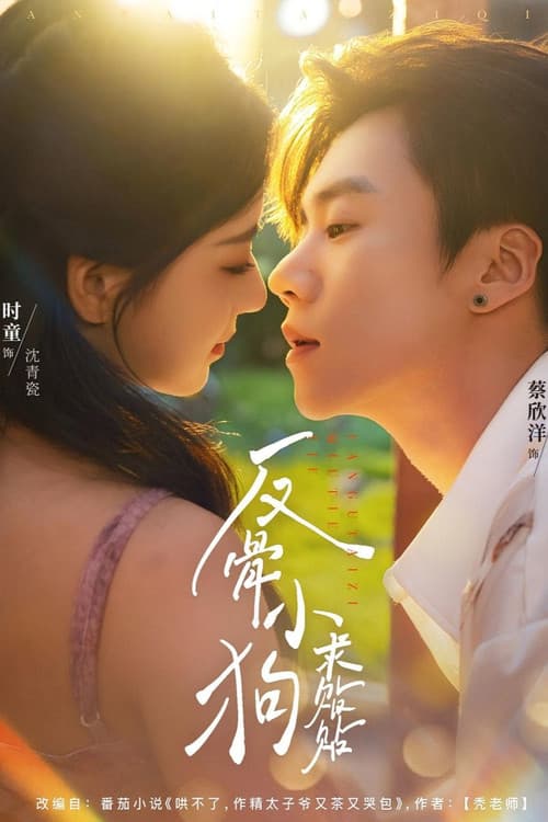 Fan Gu Xiao Gou Qiu Tie Tie Season 1 poster