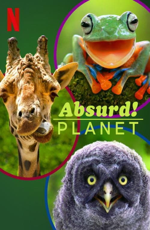 Absurd Planet Season 1 poster