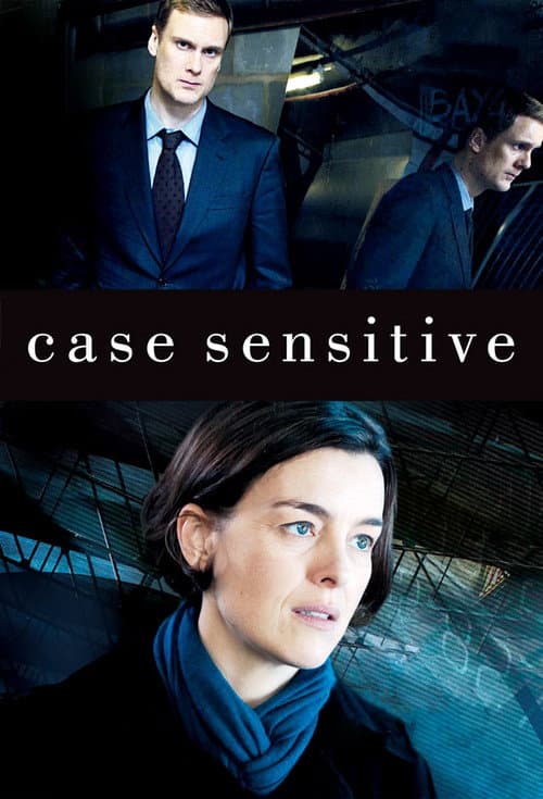 Case Sensitive Season 2 poster