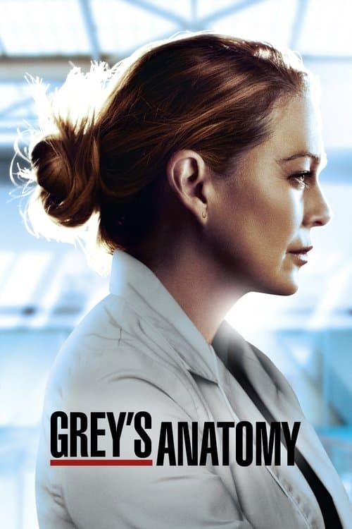 Grey's Anatomy Season 17 poster